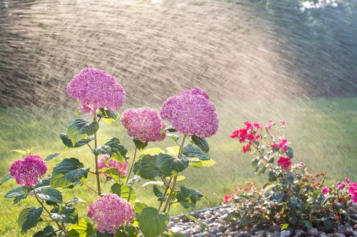 Gartenbewässerung Blumen und Rasen