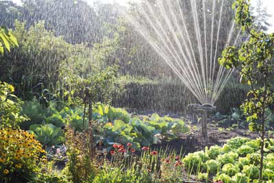 Gartenbewässerung im Sommer